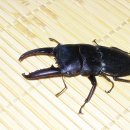 추억만들기민박 이미지