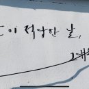 적당한 날 이미지