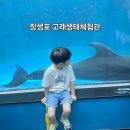 고래생태체험관 화장실 | 울산 아이랑 실내 가볼만한 곳 장생포 고래생태체험관 팁&amp;후기
