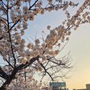 용두로121번길 네이버블로그