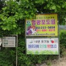 영광포도원 이미지