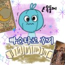 장보러가자 | 생각이 많을 땐 빠순타로를 보러가자 [팬타로 후기]