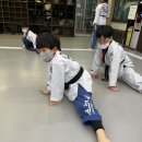 청도경희대태권도장 이미지