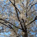 청구역 공중화장실 이미지