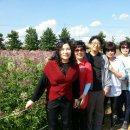 삼도초교 이미지