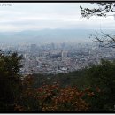 보문사약수터 이미지