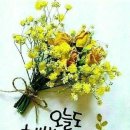 오늘법무사