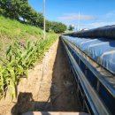 도경농장 이미지