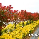 도청 - 중앙사거리 이미지