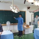 (주)드림벳 이미지