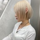데이민 이미지