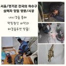 사파동100 이미지