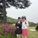 화성상록CC 나 조과장 연옥부부 이미지