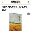 호밀밭 시집 출간 보도 감사 이미지