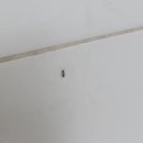 부흥로315번길 18 이미지