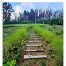 농업회사법인 (주)해우리팜2농장 | 울진에서 자연으로 치유하는 1박 2일, &#39;안녕, 로컬치유 관광스테이&#39; 후기 영덕팜그로브 농업법인 진행