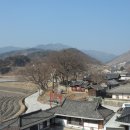 병곡초등학교 Daum카페