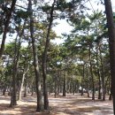 황토클리닉타운 이미지