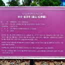 송정이용원 - 북구 송내10길 13 | 송정이용원