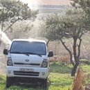 조형주유소 이미지