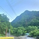 단양남천계곡물가 이미지