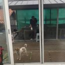 영팔이펜션3 이미지