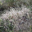 고덕수변공원 이미지