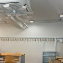 피티시즌 | 신논현역, 강남역 근처 조용한 카페 오피티알 | 시즌 메뉴 솔트크림토마토 솔직후기