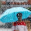 광장18호 이미지