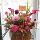 청량초 앞 이미지