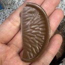 테리스짐 이미지