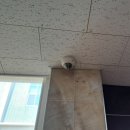 장안고등학교 이미지