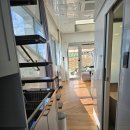 코지네이쳐 이미지