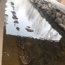 묵동천 | (둘레길사진후기 - 8) 묵동천둘레길, 봉화산 , 옹기테마공원길