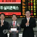 (주)실리콘디스플레이
