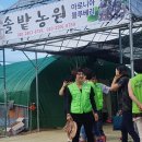 박수원농장 네이버블로그