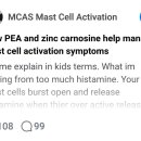 MCAS - DAO 효소, PEA, 아연 카르노신 이미지