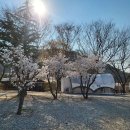 와이글램핑 이미지