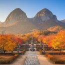 돌탑 | 마이산 탑사, 붉은 단풍 속 신비로운 돌탑 사찰 후기