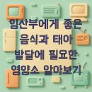 대지로2L | 임산부에게 좋은 음식과 태아 발달에 필요한 영양소 알아보기