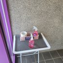 유올리 | 전주 유올리 애견카페 후기✨ 아이랑 가도 좋은 반려견 카페