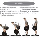 크로스핏 업 | 크로스핏 데드리프트·박스점프·브이업 팀 WOD 후기｜95lb(43kg) 데드리프트와 10라운드 인터벌