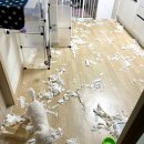 호남센터-58 네이버블로그