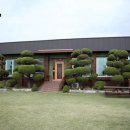 탄도 섬마을 이미지