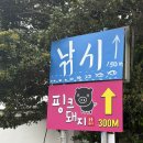 핑크돼지 | 핑크돼지 💕🐷 소노캄제주 맛집 흑돼지 전문점/애견동반 가능