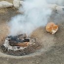 (경주·포항)해피케어 이미지