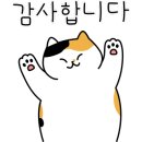 하오르모터스 엔진, 밋션 이미지