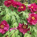 휘게마을 이미지