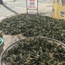 수재화장실 이미지