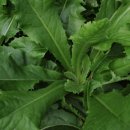 순박2농장 이미지